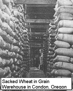 Sacked Wheat.jpg (129679 bytes)